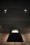 Fiber optic lighting for sauna SAUNA LIGHT CARIITTI TORCH FIXTURE TL-100 CARIITTI TORCH FIXTURE TL-100