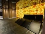 Salzziegel HIMALAYA-SALZ POLIERT 200x100x50mm