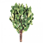 Gerbes de branches Branches pour sauna Vente en gros GERBE DE BRANCHES SET, 5 KOIVU, 5 EUCALYPT