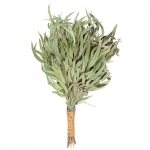 Branches pour sauna Gerbes de branches FOUET SAUNA EUCALYPTUS PREMIUM